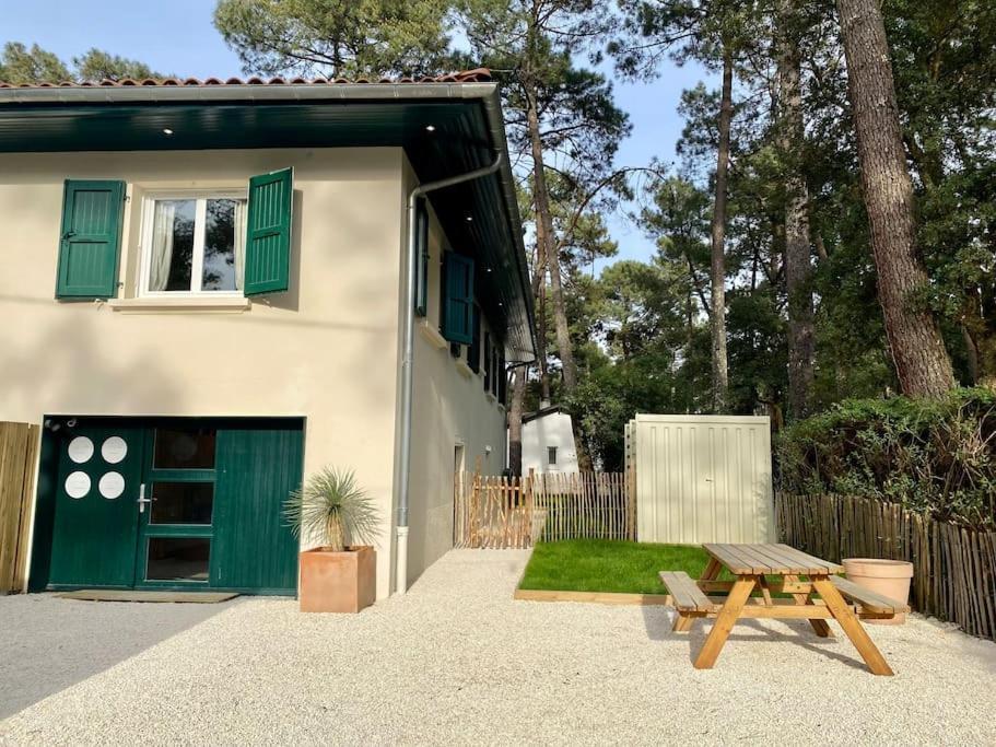 סורטס הוסגור Nid De Line - Hostal Naou - Wifi-Netflix מראה חיצוני תמונה